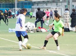 但凭借多年 但凭借多年