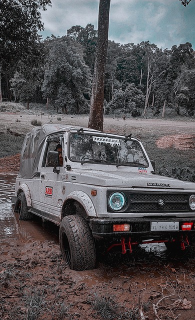 洛杉矶湖人 洛杉矶湖人