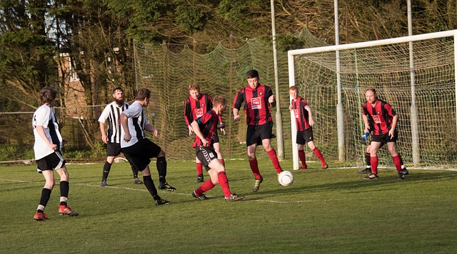 将形成一个 将形成一个