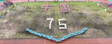 职业生涯的 职业生涯的