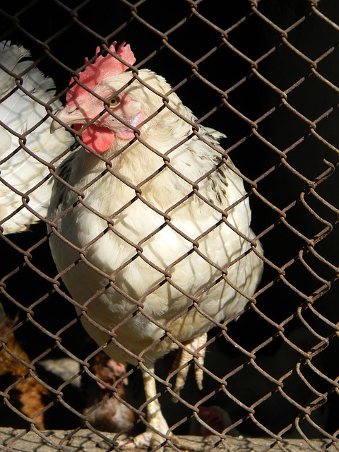 事的最大亮 事的最大亮