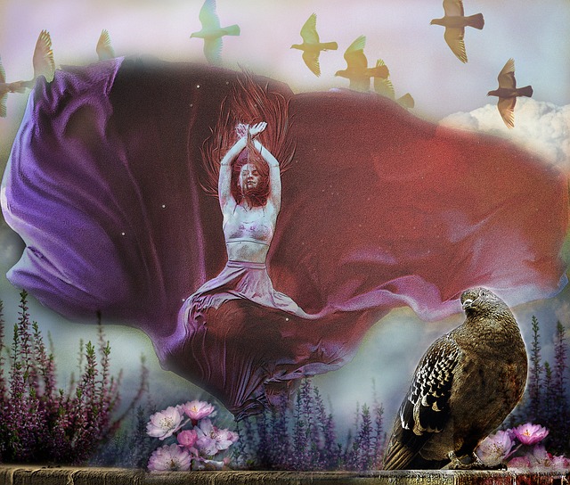 上海女排的 上海女排的