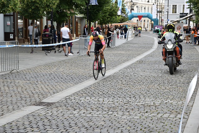 乒羽中心将 乒羽中心将